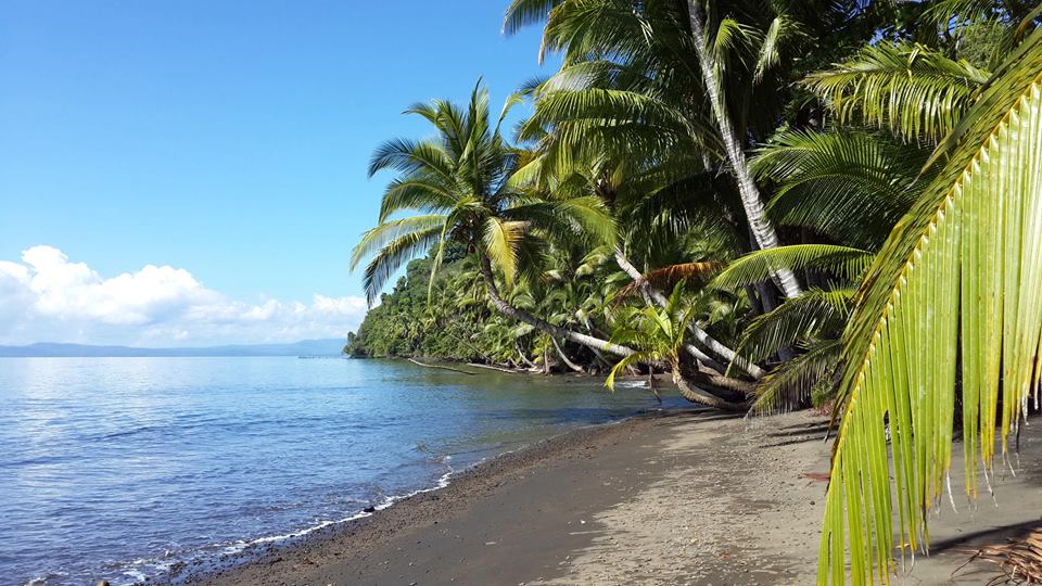 Costa Rica Real Estate - Best Beaches