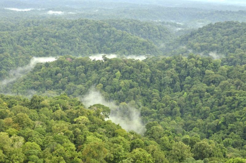 Corcovado Osa Peninsula