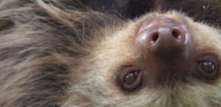 Costa Rica Summer Vacation ideas