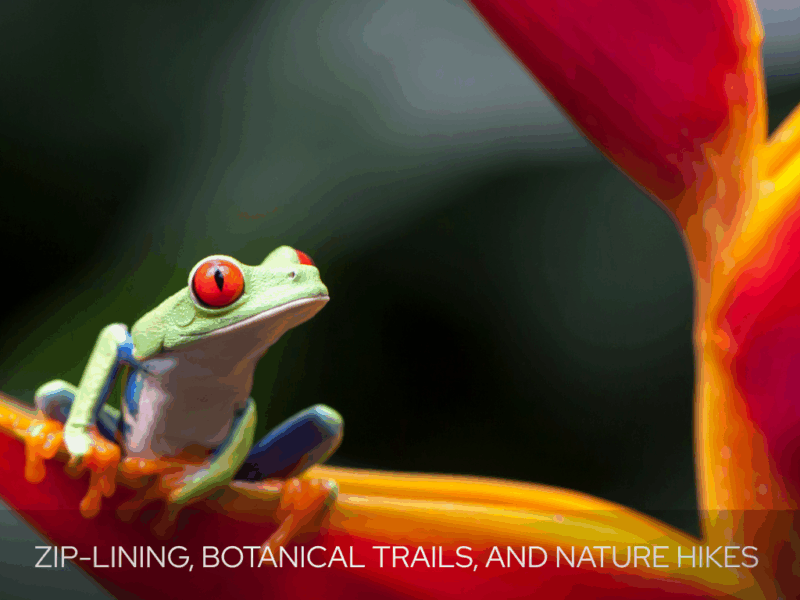 Amazing Wildlife Photography Opporunities